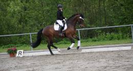 Img 4421