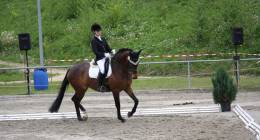 Img 4442