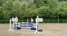 Img 3741